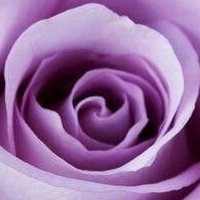 آواتار کاربر